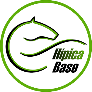 Servicios de consultoría, coaching y formación dirigidos al sector ecuestre