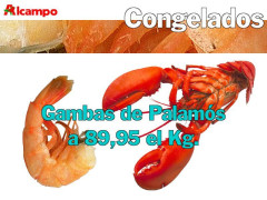 alcampo_02.jpg