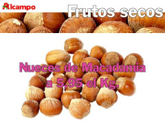 alcampo_04.jpg