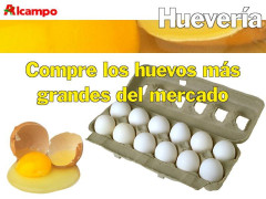 alcampo_06.jpg