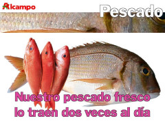 alcampo_08.jpg