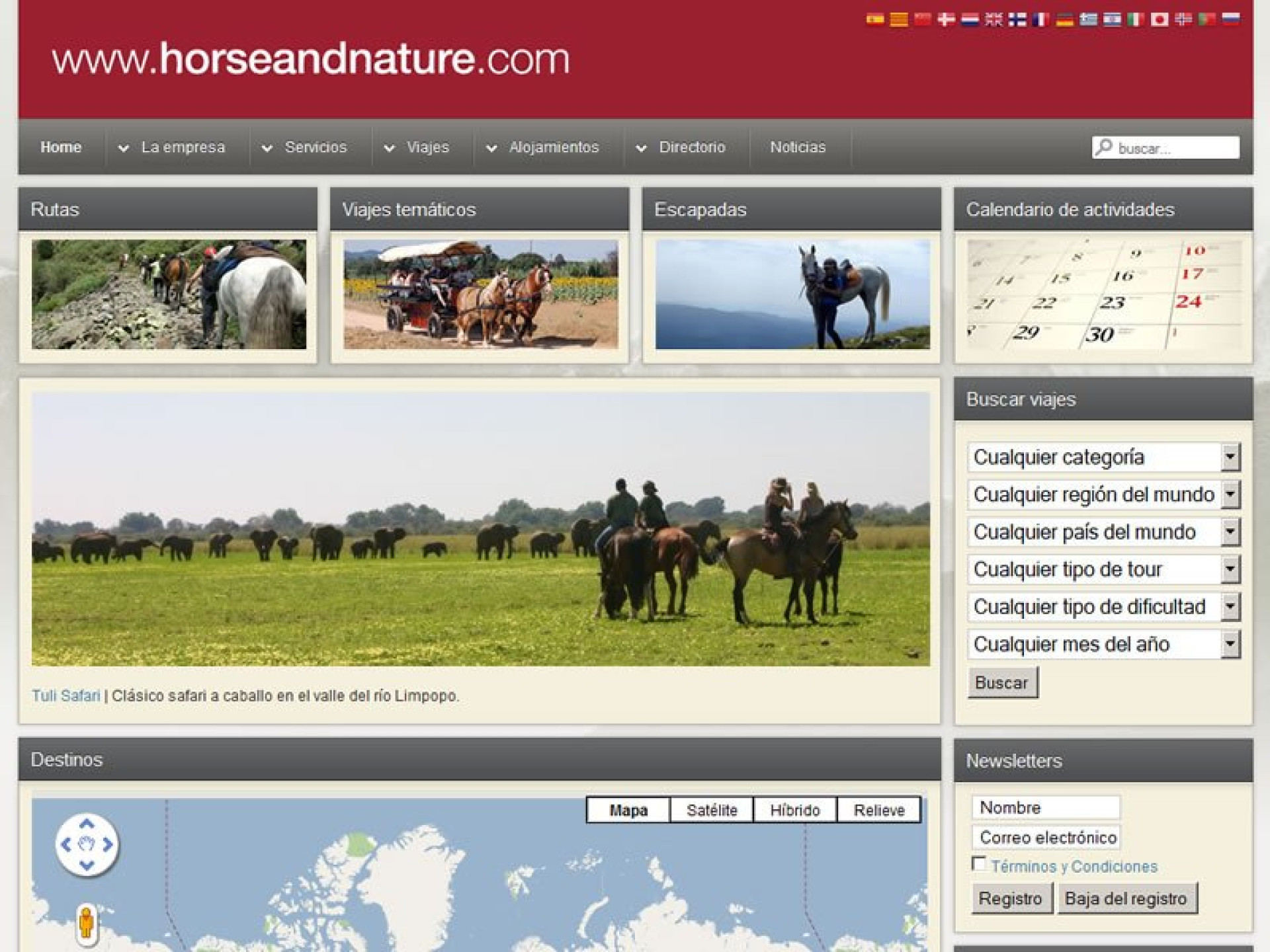 Horse & Nature