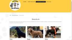imagen0003.jpg